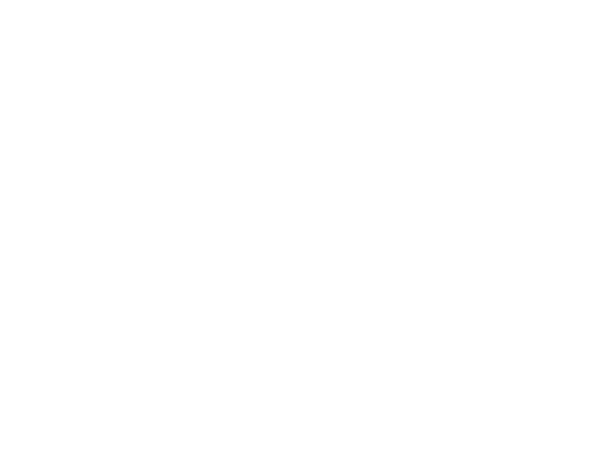 Liven & Co S.R.L. trading as Medici Group